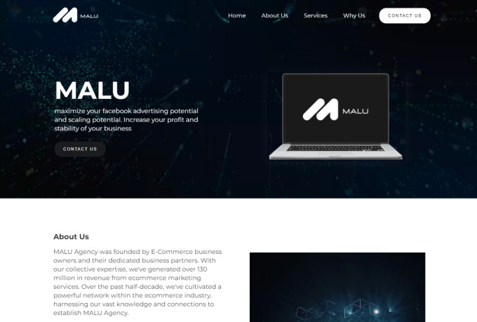 do webflow website development, figma to webflow or redesign webflow website